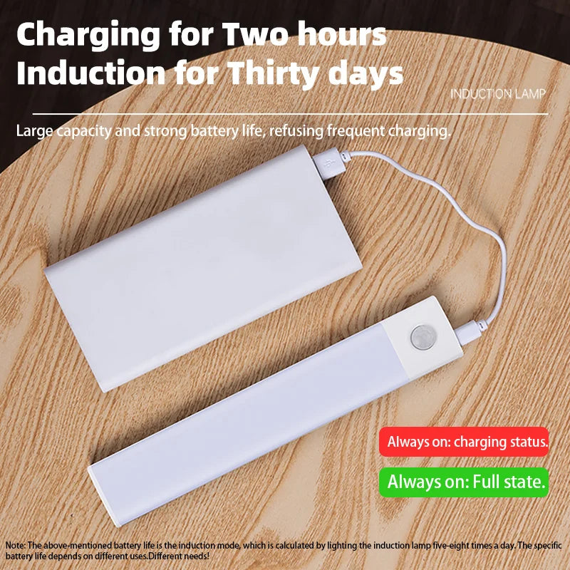 Skorter | USB rechargeable motion sensor lamp